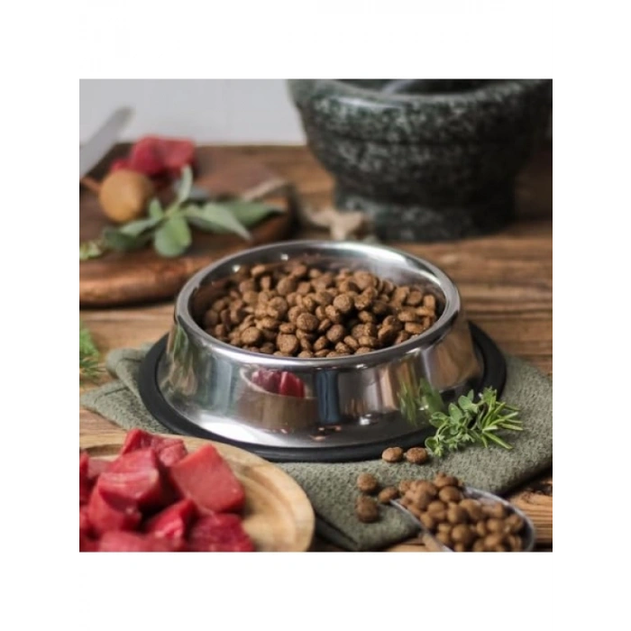 Paslanmaz Çelik Kedi ve Köpek Mama Su Kabı, Kaymaz Tabanlı