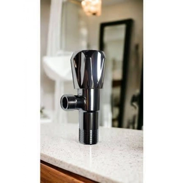 Paslanmaz Çelik Taharet Musluğu (2 Adet)