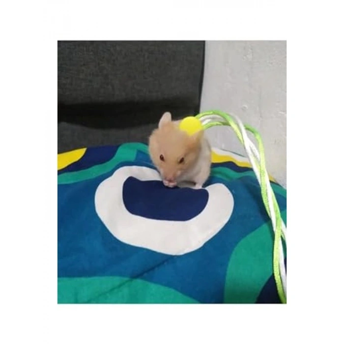 Patentli Hamster Gezdirme Tasması - Dolaştırma İçin