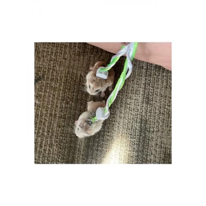 Patentli Hamster Gezdirme Tasması - Dolaştırma İçin