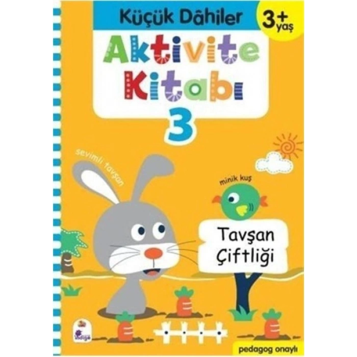 Pedagog Onaylı Küçük Dahiler Aktivite Kitabı 3 3+ Yaş