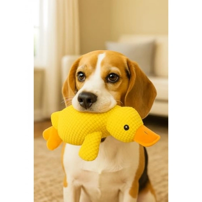 Peluş Ördek Şekilli Sesli Köpek Oyuncağı (Sarı)