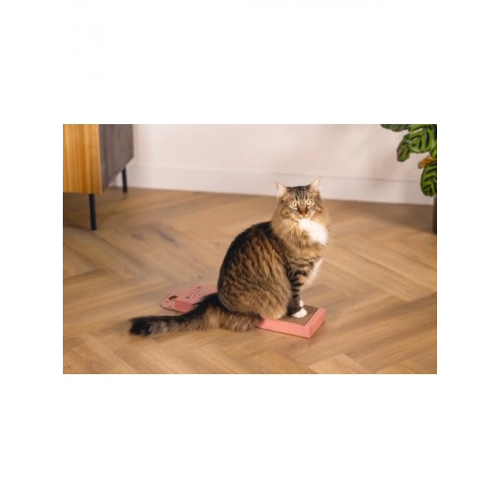 Pembe 45 cm Kedi Karton Tırmalama