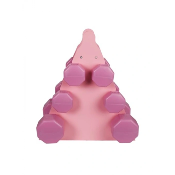 Pembe Renk Dambıl Seti + Stand, 3 Ağırlık Seçeneği