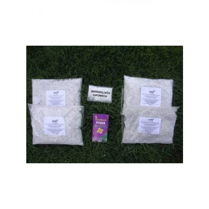 PERLİT+KÖK HORMONU + KÖK BESİNİ