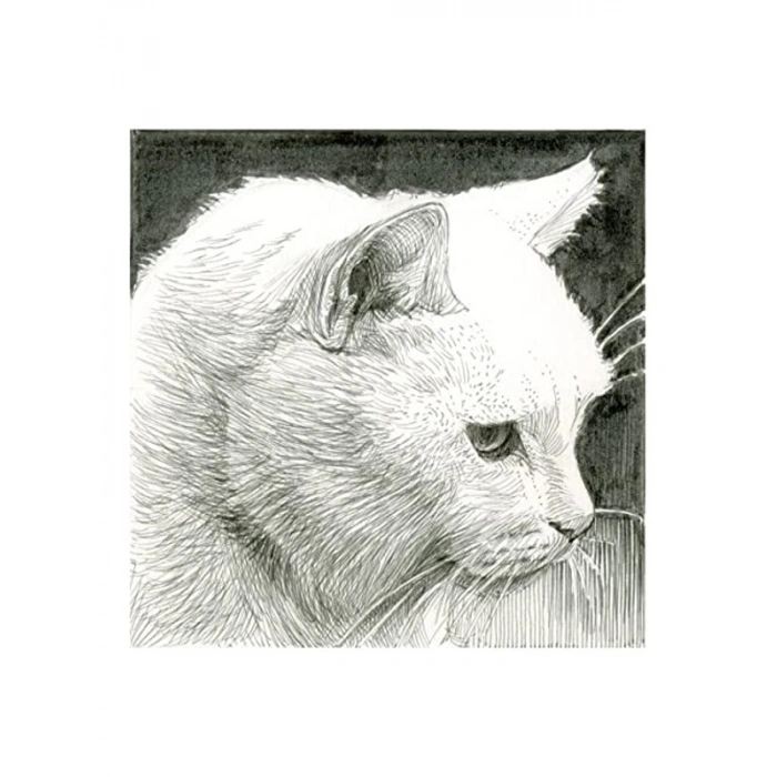 Pigma Micron 05 Siyah Kalem, 0.45 mm, Sanat İçin