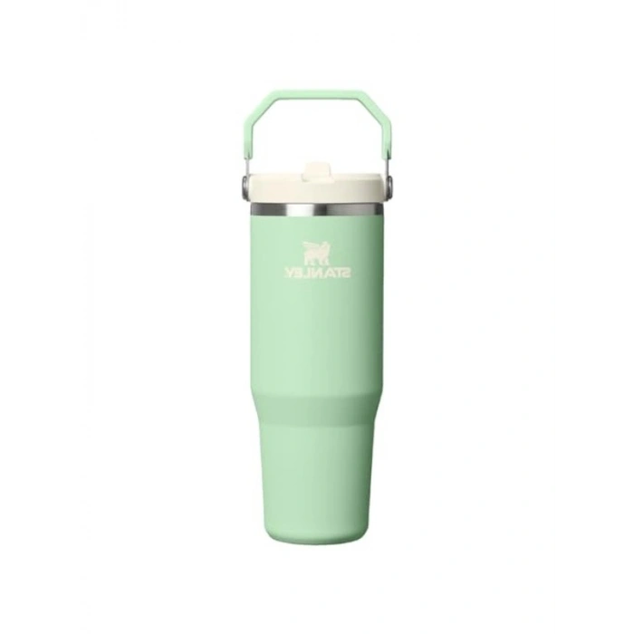Pipetli Tumbler, 0.89 Litre Kapasite, Şık Yeşil Tasarım