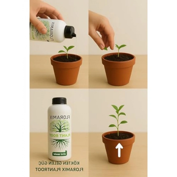 plant root 5 litre