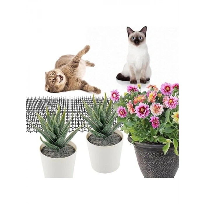 Plastik Kedi Kovucu Mat, 10 Adet, 250 cm