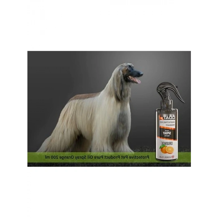 Portakal Aromalı Köpek Bakım Spreyi - 75 ml