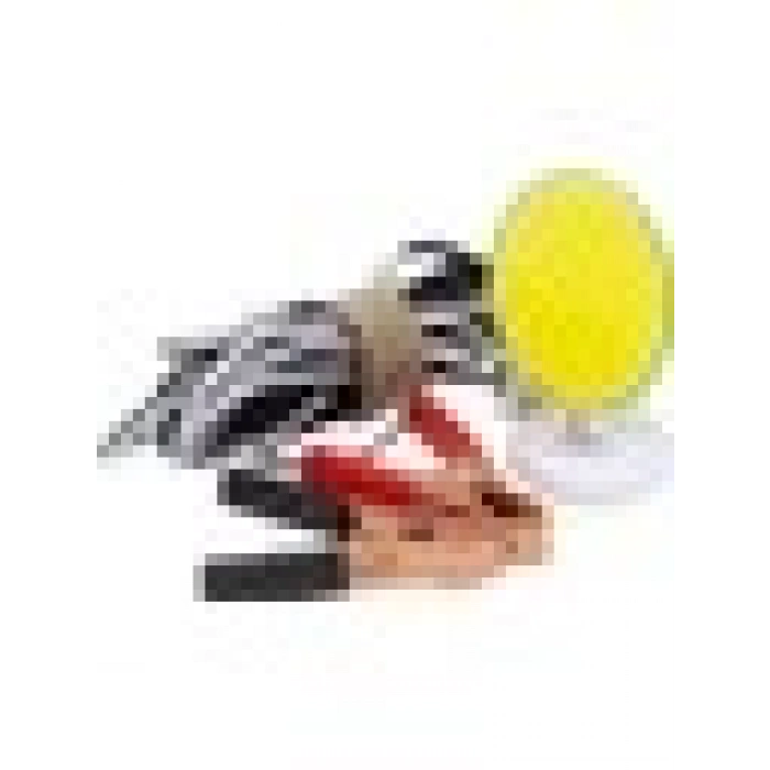 Powermaster Tm-24 Cob Ledli 13 Watt Akü Maşalı 4 Metre Kablolu Taşınabilir Seyyar Panel Lamba