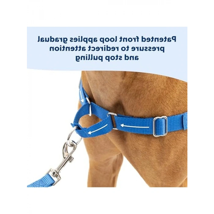 Pratik köpek koşum takımı, rahat yürüyüş deneyimi sunar