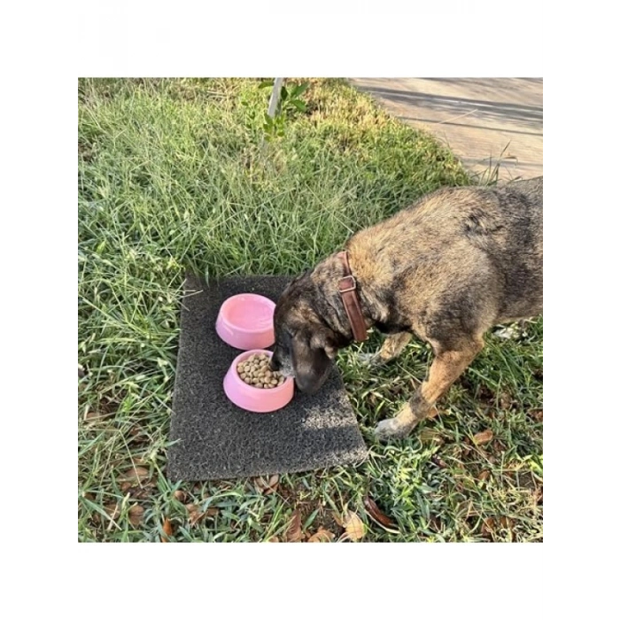 Pratik Mama Kabı - Kaymaz Tabanlı