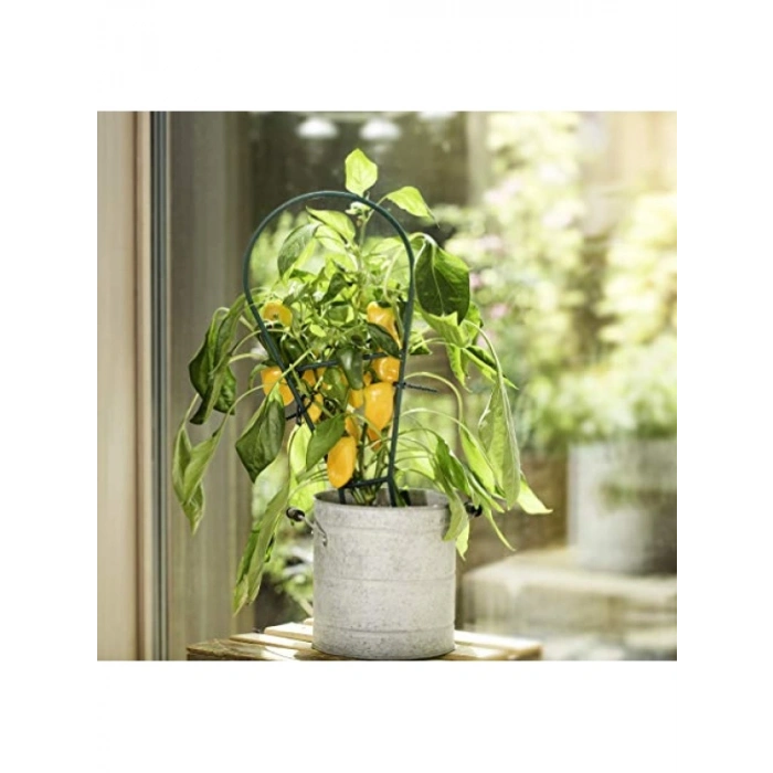 Pratik Plastik Tırmanma Desteği - 44 x 19 cm, Yeşil