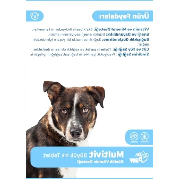 Premium Günlük Vitamin Desteği Tabletleri - 60 Adet