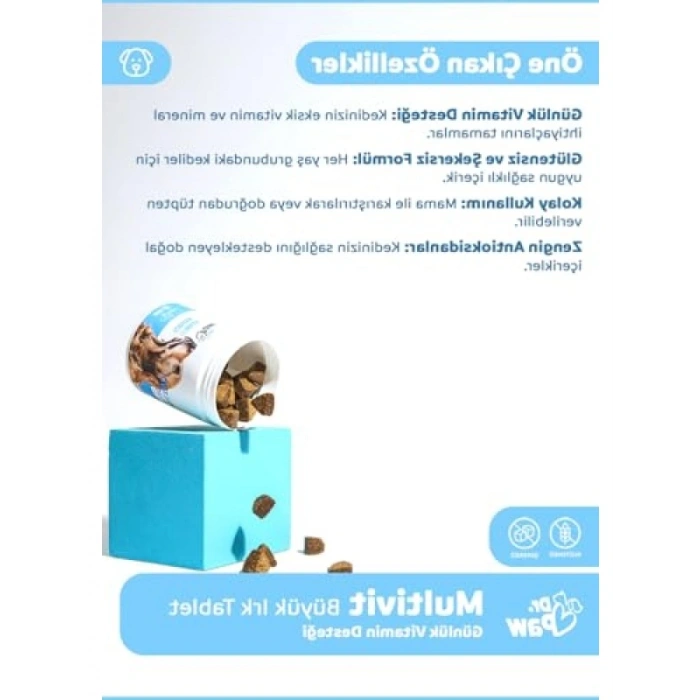 Premium Günlük Vitamin Desteği Tabletleri - 60 Adet