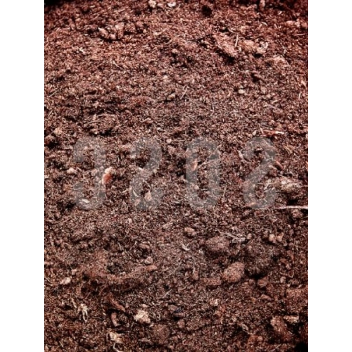 Premium Kalite İthal Sphagnum Bitki Yetiştirme Torfu - 3 Litre