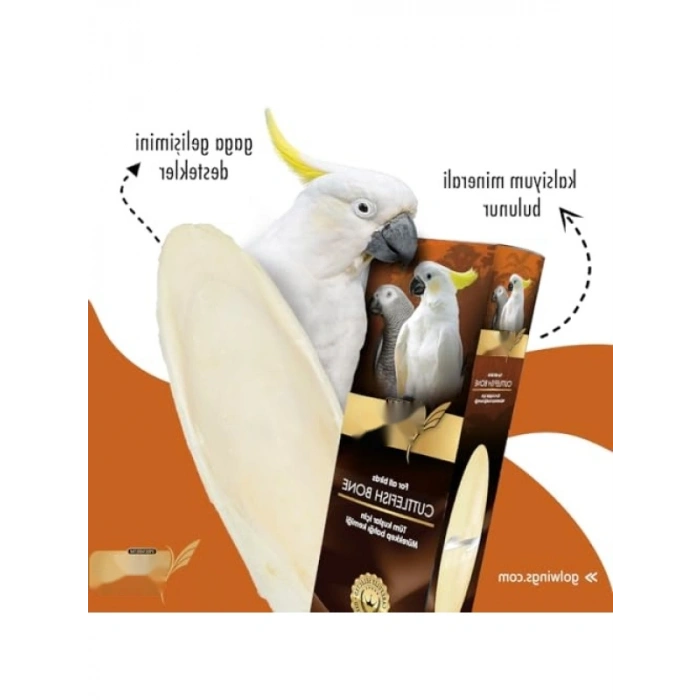 Premium Mürekkep Balığı Kemiği, 15 gr