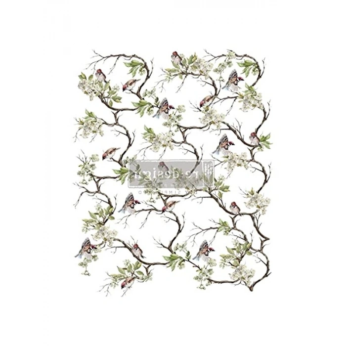 Prima Blossom Fiight