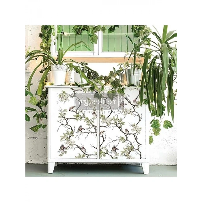 Prima Blossom Fiight