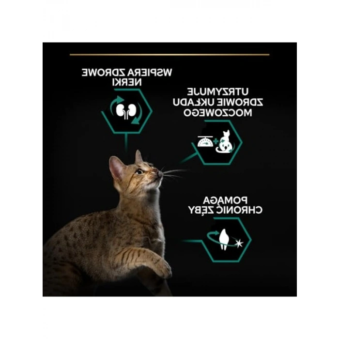 Pro Plan Sterilised Hindili Kuru Kedi Maması 10 kg Standart