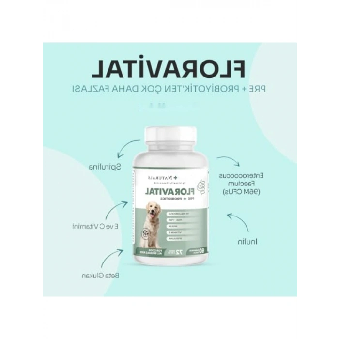 Probiyotik ve Prebiyotik Desteği - 60 Tablet