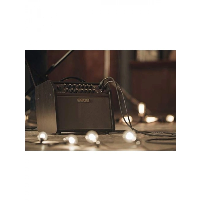 Profesyonel Akustik Gitar Amplifikatörü, 60 W Güç