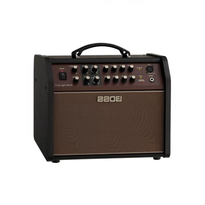 Profesyonel Akustik Gitar Amplifikatörü, 60 W Güç