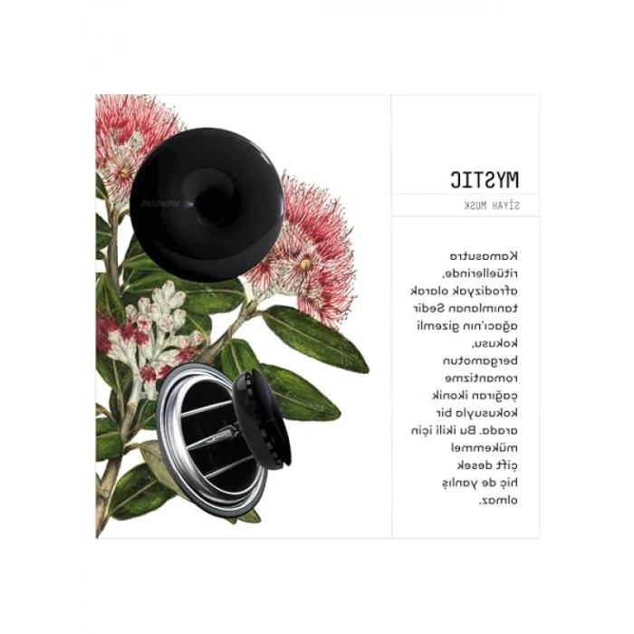 Profesyonel Araba Klima Kokusu 6lı Set