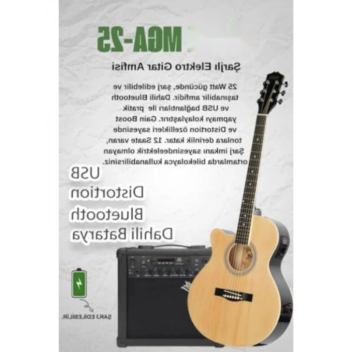 Profesyonel Elektro Akustik Gitar Seti: Amfi, Gigbag ve Aksesuarlar