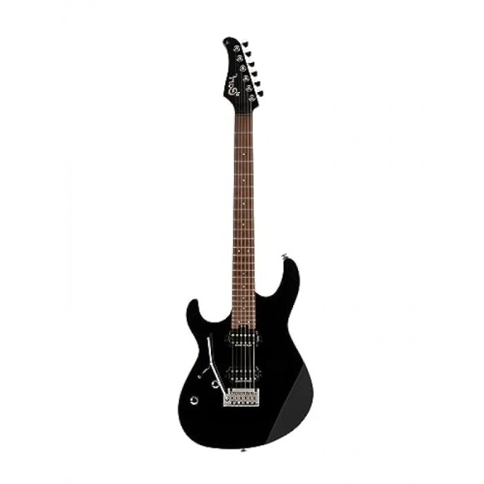 Profesyonel Elektro Gitar G300PRO Modeli