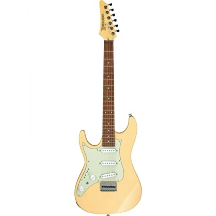 Profesyonel Elektro Gitar - Yüksek Ses Kalitesi