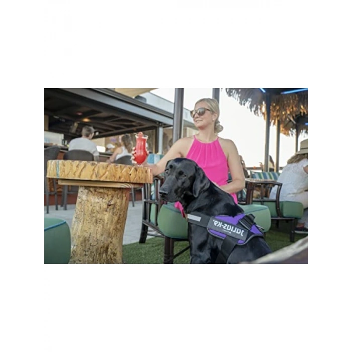 Profesyonel Kontrollü Kedi Göğüs Takımı, Boyut: L, Koyu Mor