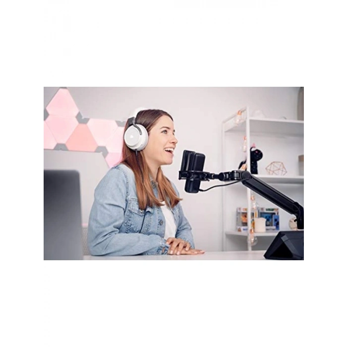 Profesyonel Mikrofon Ses Filtresi