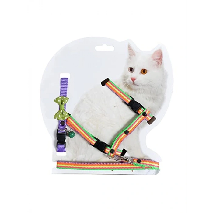 Puantiyeli Kedi Göğüs ve Bel Gezdirme Takımı