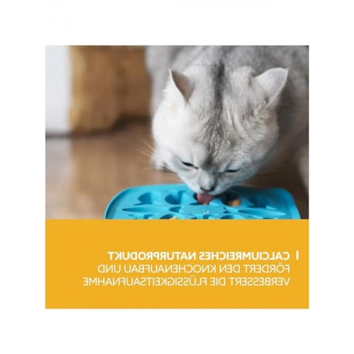 Puding Kedi Ödülü 150 gr