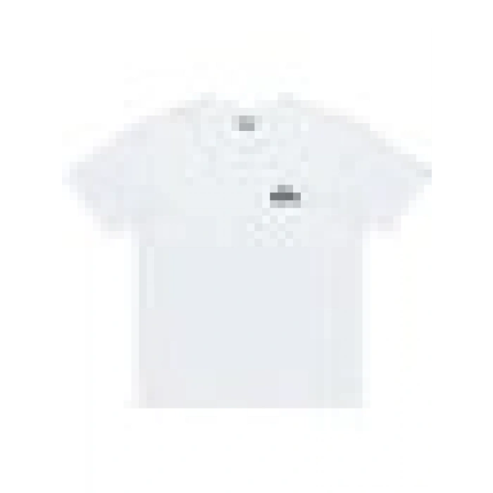Quiksilver EV MINI LOGO SS Beyaz Erkek Kısa Kol Gömlek