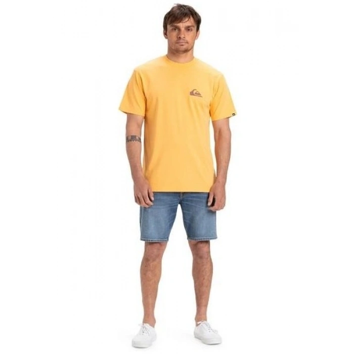 Quiksilver Ev Mini Logo Ss Erkek Spor Tişört EQYZT08042