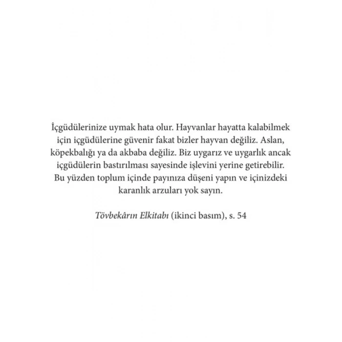 Radley Ailesi - Matt Haig