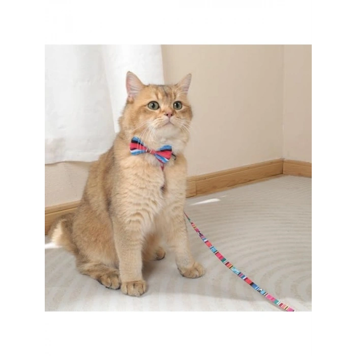 Rahat ve Şık Evcil Hayvan Papyonu, L, Jazz Stripes