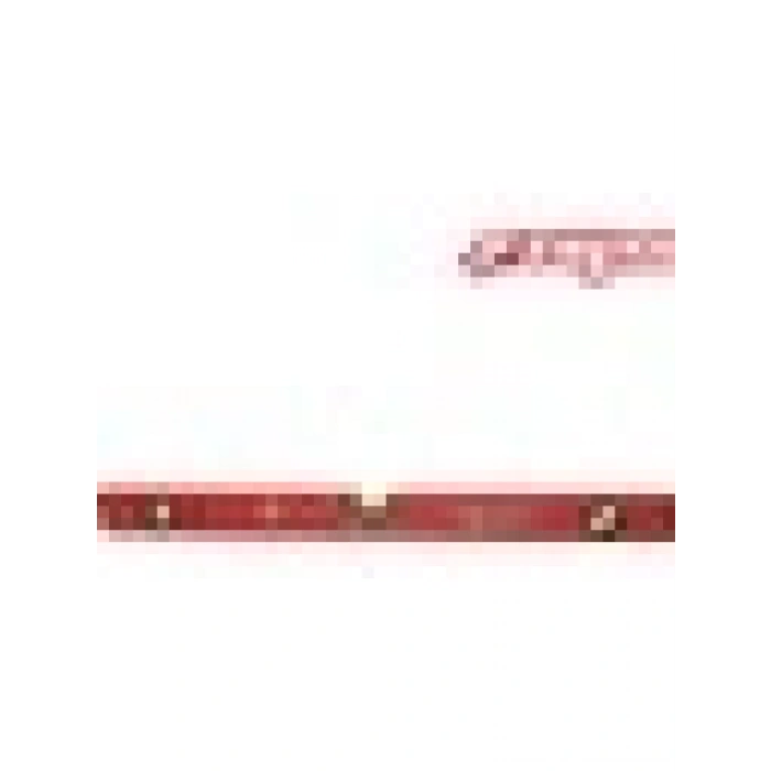 Rayno Mıknatıslı Su Terazisi 400 mm - RAYNOST40