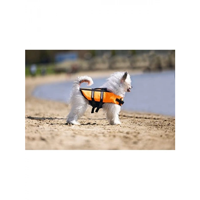 Reflektörlü Köpek Can Yeleği, S Boy