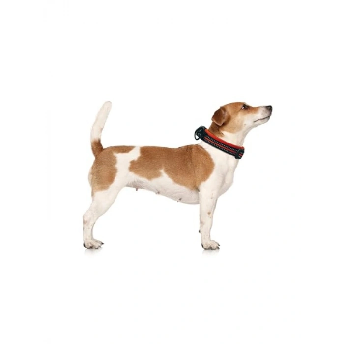 Reflektörlü Yumuşak Boyun Tasması (Turuncu, M Boy)