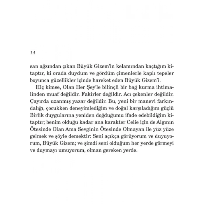 Renklerden Moru - Alice Walker