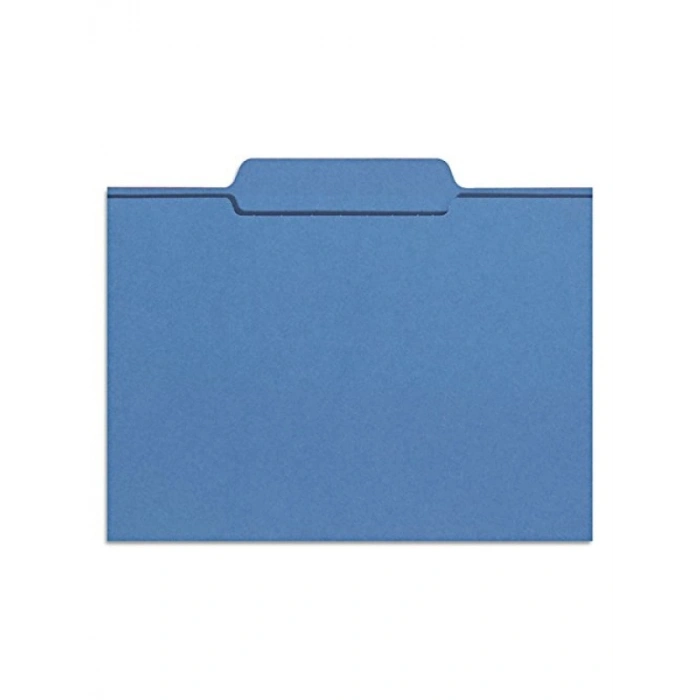 Renkli 1/3 Kesim Dosya Klasörü, A4 Boyut, 100 Adet