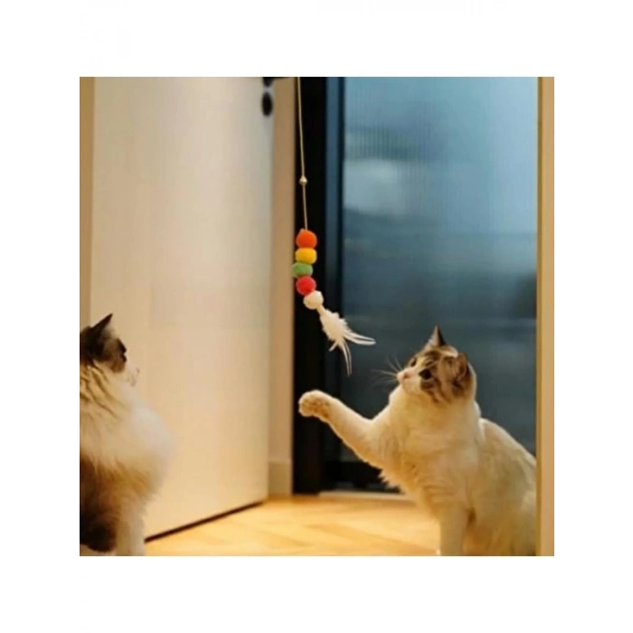 Renkli Elastik Kendinden Yapışkanlı Kedi Oyun Oltası