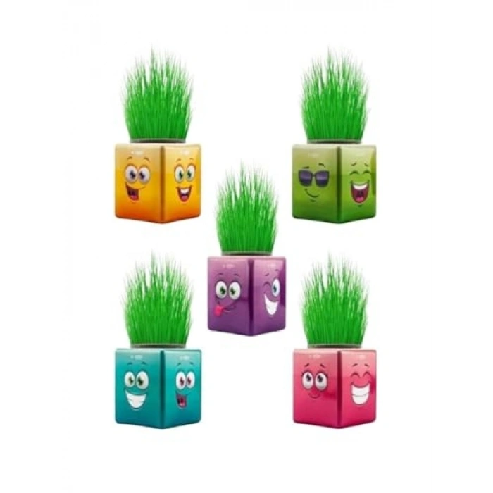 Renkli Küp Şeklinde Çim Adam Seti - 32li