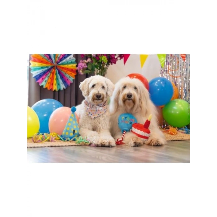 Renkli Peluş Pasta Dilimi Köpek Oyuncağı, 19x14x11 cm