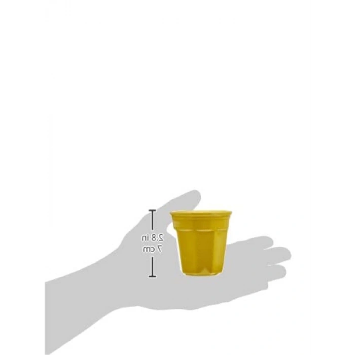 Renkli Porselen Espresso Bardak Seti - 6 Adet