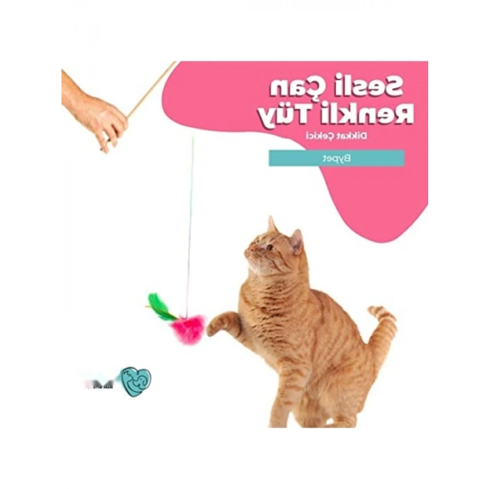 Renkli Tüy ve Çıngıraklı Kedi Oltası